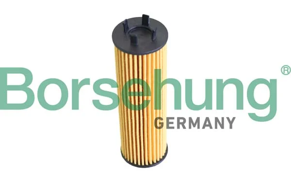 Olejový filtr Borsehung B12286