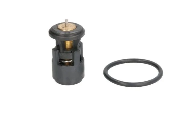 Termostat, chladivo THERMOTEC D2A005TT