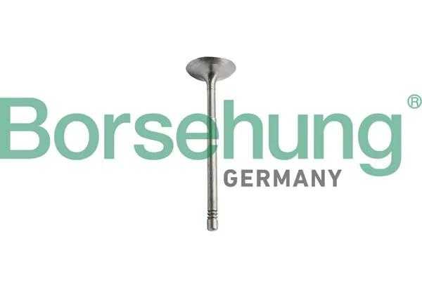Sací ventil Borsehung B10351 Sací ventil Borsehung B10351