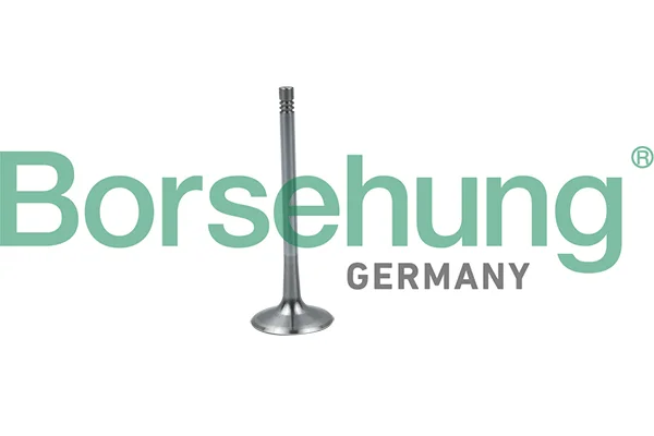 Sací ventil Borsehung B19026 Sací ventil Borsehung B19026
