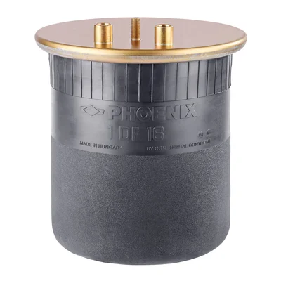 Mech, pneumaticke odpruzeni PHOENIX 1DF16-2